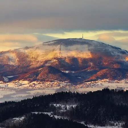 Daglezja Pod Gora Zar * Miedzybrodzie Zywieckie