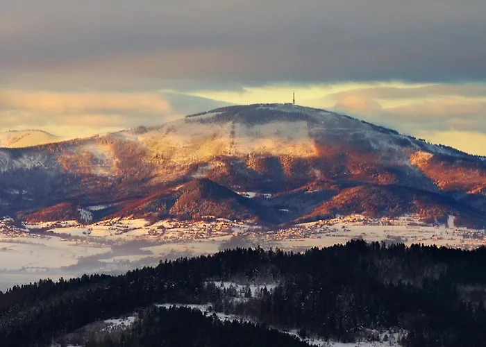 Daglezja Pod Gora Zar * Miedzybrodzie Zywieckie